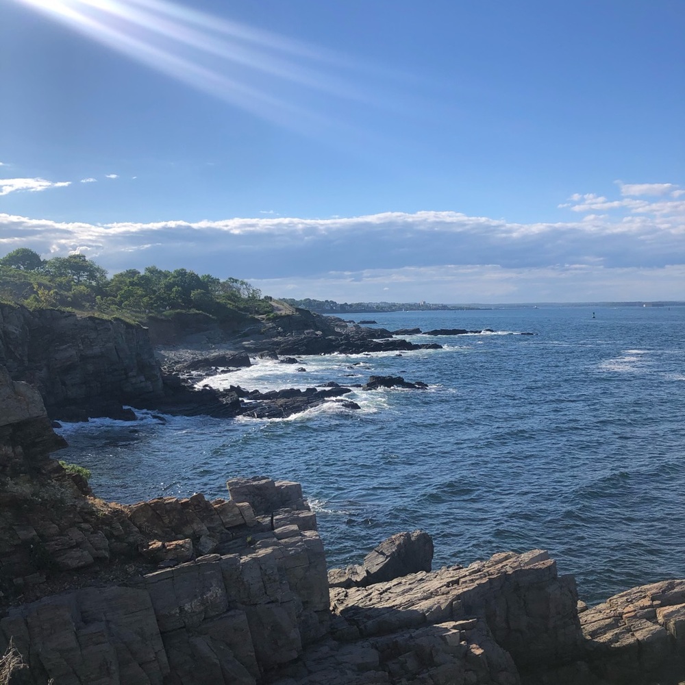 Meet your Posher, Maddy